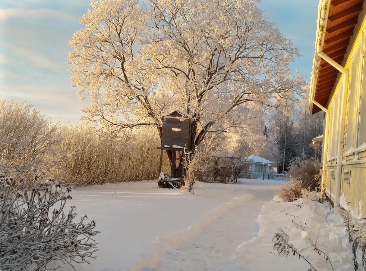 Majatalo Myoetaetuuli Hotel Pitkajarvi  Bagian luar foto