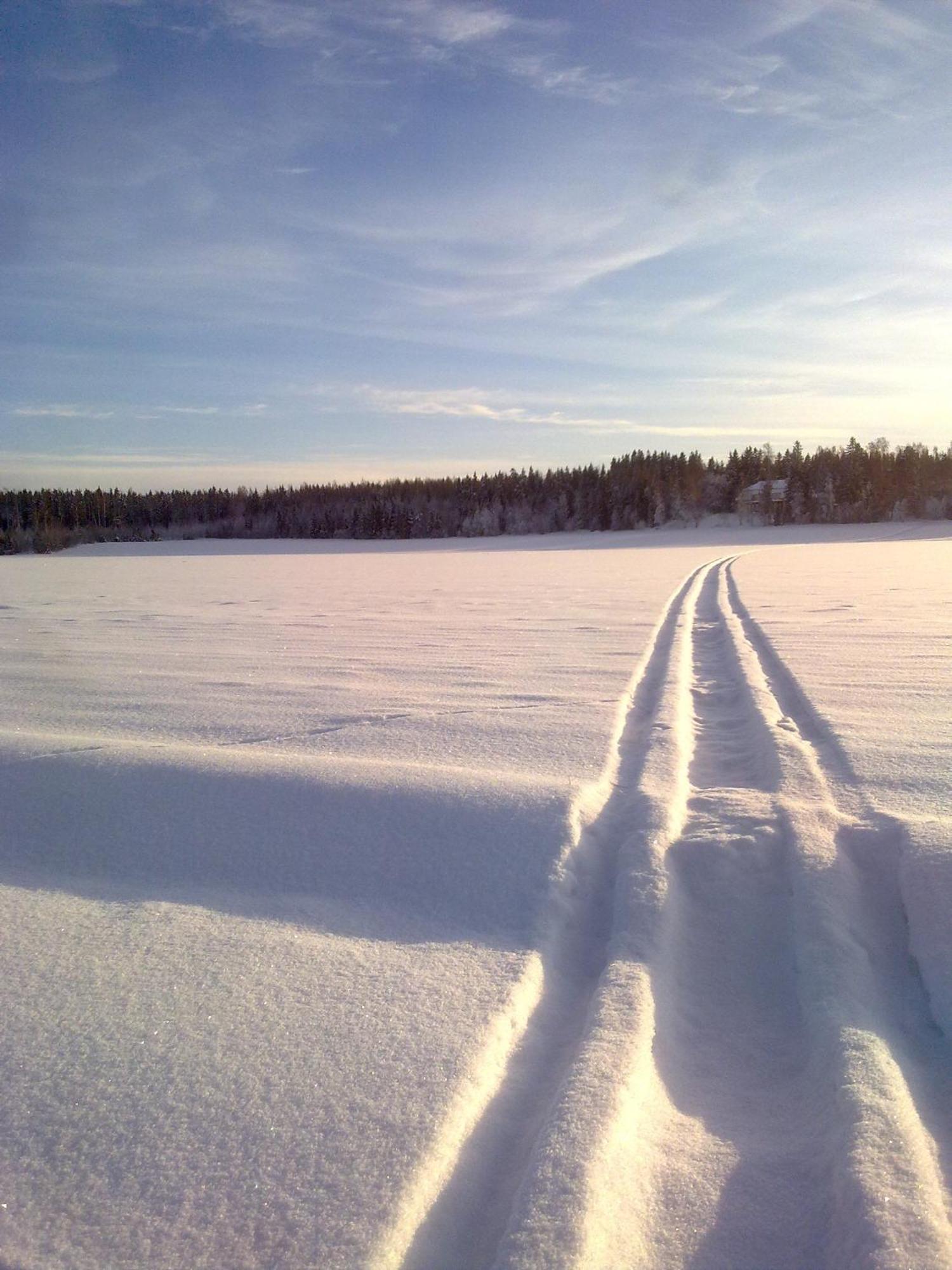 Majatalo Myoetaetuuli Hotel Pitkajarvi  Bagian luar foto